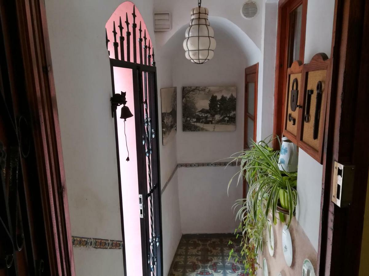 Los Angeles Del Romero Guest House Gatova Exterior photo